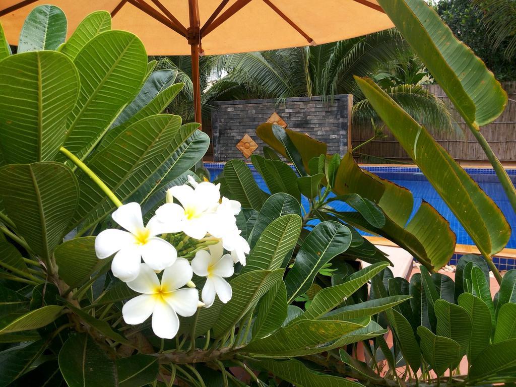 Villa Nissa Siem Reap Buitenkant foto