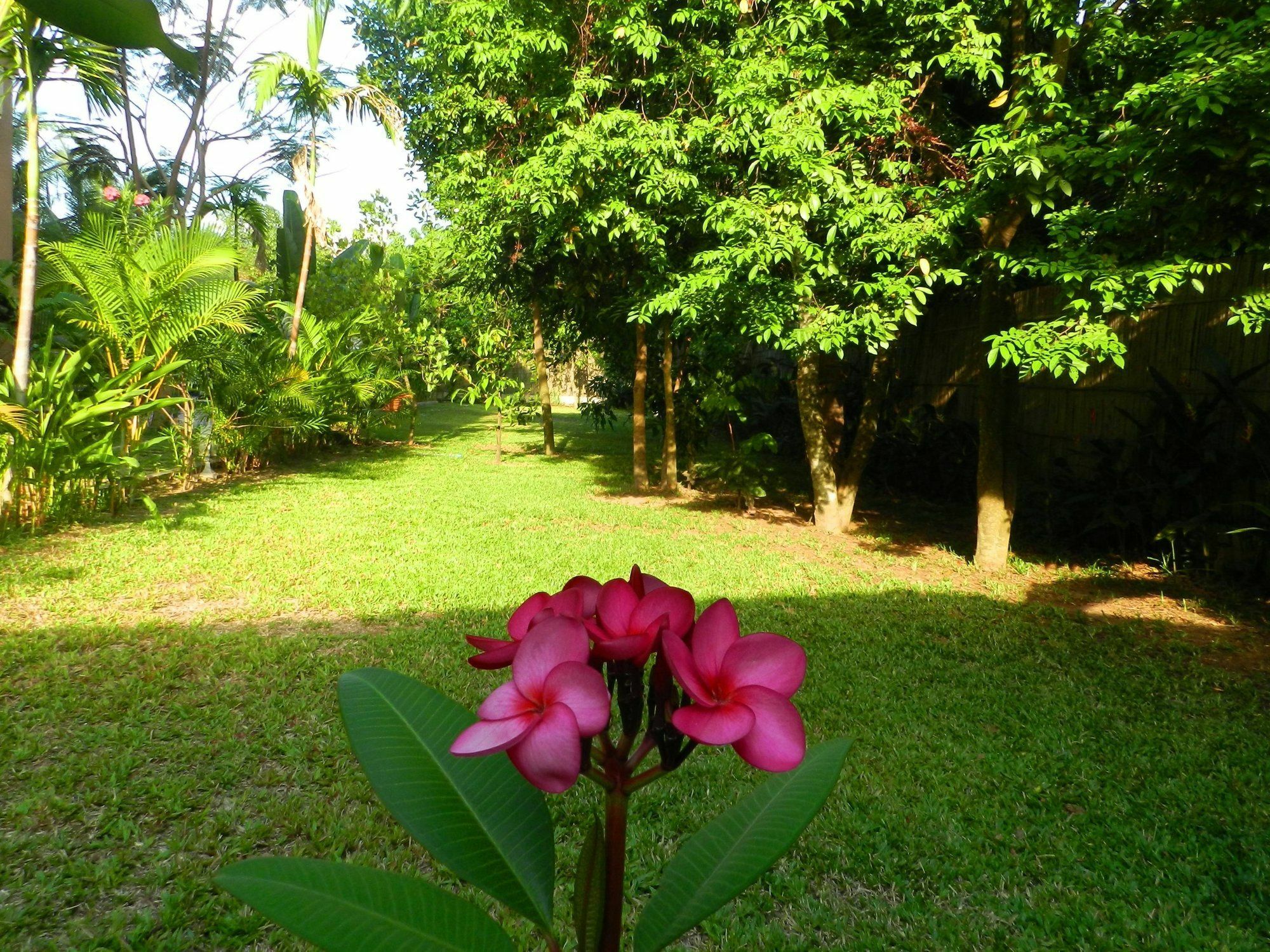Villa Nissa Siem Reap Buitenkant foto